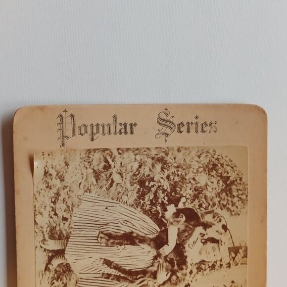 CUTE ANTIQUE STEREOGRAPH CARD Mary Had a Little Lamb Scene "Pet of the Common" - Picture 2 of 5